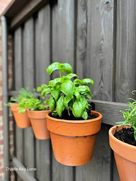 Easy DIY Fence Herb Garden - Create your own vertical herb garden on a fence with terracotta pots and hooks. Easy Patio Project. Grow Your Own Herbs In A Small Space. Space Saver Herb Garden. Fence Pots Planters, Herb Garden On Fence, Fence Herb Garden, Easy Diy Fence, French Ethereal, Herb Garden Wall, Herb Garden Pallet, Easy Patio, Hanging Herb Garden