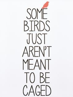 Free Like A Bird Quotes, Quotes About Birds Inspirational, Quotes On Birds, Free As A Bird Quotes, Caged Bird Art, Free Bird Quotes, Cage Quotes, Birds Quotes, Fly Quotes