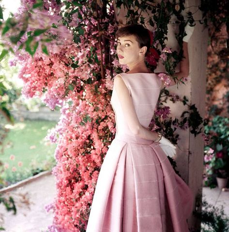 Audrey Hepburn, 1955 - photo by Norman Parkinson Audrey Hepburn Vogue, 1950s Audrey Hepburn, Icons Women, Norman Parkinson, Audrey Hepburn Dress, Style Icons Women, Quote Beauty, Vintage Photography Women, Audrey Hepburn Style