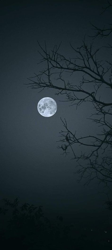 Winter Moon Wallpaper, Moon Watching Aesthetic, Moonlight Aesthetic Dark, Pretty Moon Wallpaper, Moon Dark Aesthetic, Full Moon Aesthetic, Moon Aesthetic Wallpaper, The Moon Wallpaper, Moon Pfp