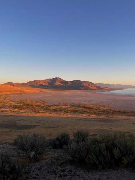 Antelope Island •U T A H• Antelope Island Utah, Antelope Island, Utah, Storytelling, Drive, Pins