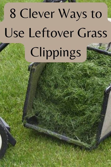 Don't throw away those leftover grass clippings! They can be used in a variety of clever ways around your yard and home. Check out these 8 ideas for how to put your grass clippings to good use. How To Fix Patchy Grass Lawn, Grass Clippings What To Do With, Grass Edging Ideas, Grass Seed Tips How To Grow, Grow Grass Fast, Backyard Grass Landscaping, How To Plant Grass, Edge Lawn, How To Remove Grass