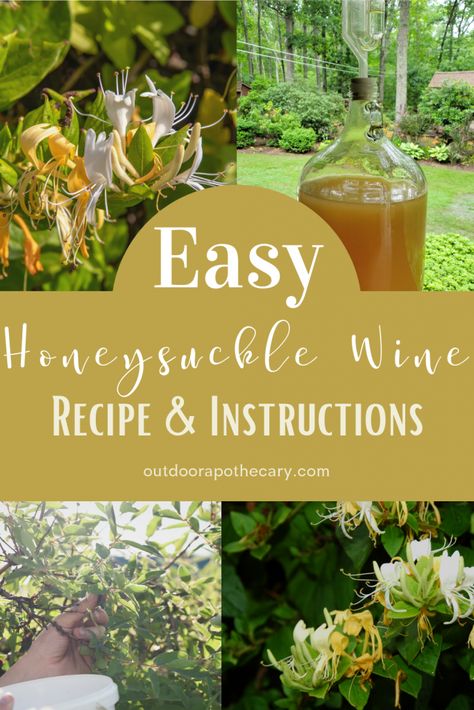 Wine Making Recipes, Homemade Wine Recipes, Mead Recipe, Aphrodisiac Foods, Wine Yeast, Brewing Recipes, Wine Recipe, Fermentation Recipes, Dry Wine