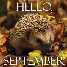 Hello, September! | Inspired Quotes for a Productive Autumn