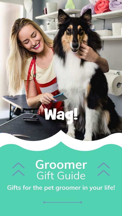 Pictured is a pet groomers' work area, where a light blonde female pet groomer stands holding onto a dog as she brushes its fur; the groomer has on a red apron to protect her clothing underneath. The dog appears to be a large Rough Collie breed, sitting on a table-top, where its head comes up to the same height as the woman; its fur is mostly black, with light brown features around its eyes and a large fluffy white chest. Homemade Pet Treats, Dog Groomer Gifts, Dog Groomer, Easy Christmas Gifts, Dog Christmas Gifts, Best Gift Ideas, Healthy Work, Pet Treats, Homemade Dog