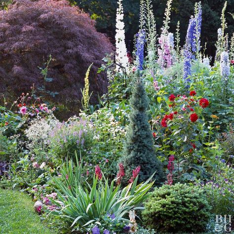 Concrete Patios, Flowers And Greenery, Cottage Garden Design, Cottage Garden Plants, English Cottage Garden, Garden Shrubs, Beautiful Backyards, Garden Care, Garden Cottage