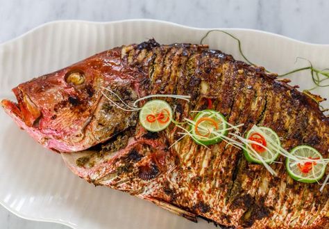 Asian Jerk Red Snapper Fish Recipes Grilled, Red Snapper Recipe, Crab Cake Appetizer, Grilled Red Snapper, Red Snapper Recipes, Snapper Recipes, Snapper Fish Recipes, Snapper Fish, Jamaican Jerk Seasoning