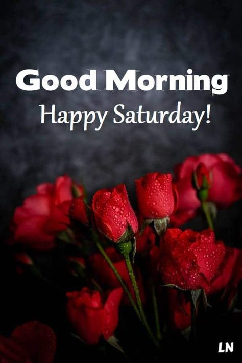 Good Morning Wishes Saturday, Good Morning Happy Saturday Image, Good Saturday Morning Quotes, Good Morning Happy Saturday Quotes, Saturday Good Morning Wishes, Good Morning Saturday Quotes, Saturday Good Morning Images, Good Morning Saturday Blessings, Saturday Morning Images