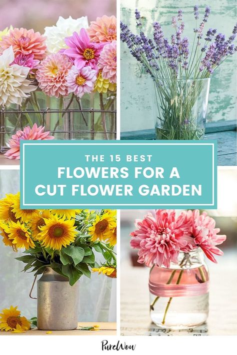 The 15 Best Blooms for a Cut-Flower Garden (So You Can Create Your Own Bouquets at Home) Flower Garden Layouts, Cut Garden, Growing Cut Flowers, Flower Garden Plans, Cut Flower Farm, Flower Farmer, Cut Flower Garden, Wildflower Garden, Plants Garden