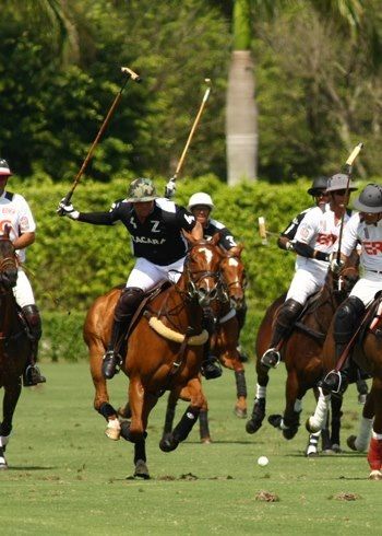 polo match Polo Aesthetic Sport, Polo Game Aesthetic, Polo Match Aesthetic, Polo Sport Aesthetic, Horse Polo Aesthetic, Polo Riding, Polo Equestrian, Polo Game Horses, Polo Horse