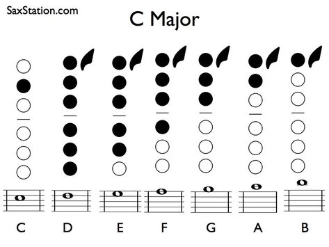 Saxophone fingering chart for C Major scale from middle C to upper B Alto Saxophone Major Scales, Alto Saxophone Fingering Chart, Saxophone Notes, Saxophone Fingering Chart, Band Puns, C Major Scale, Alto Sax Sheet Music, Alto Saxophone Sheet Music, Wind Instruments