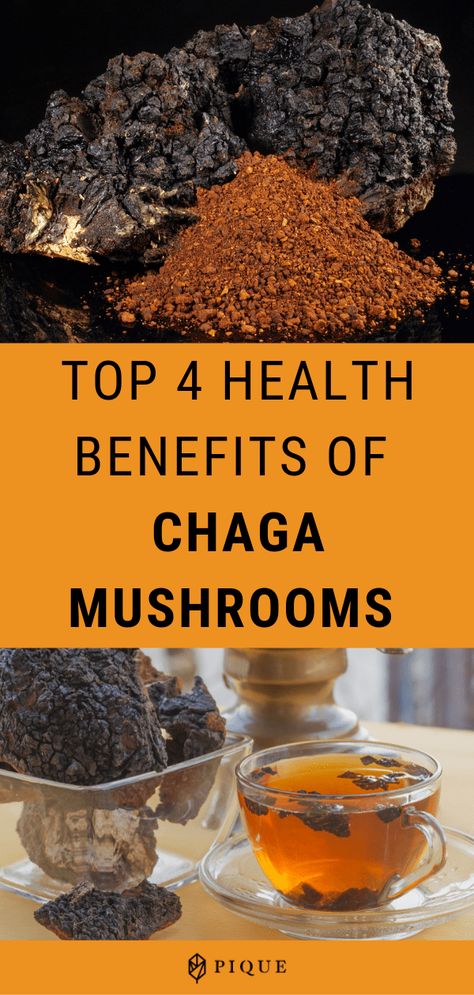 Chaga Benefits, Chaga Mushroom Benefits, Medicinal Recipes, Chaga Mushroom Tea, Chaga Tea, King Oyster, Mushroom Benefits, Zen Life, Mushroom Recipe