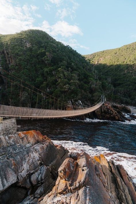 Kayaking Adventure at Storms River Mouth in Tsitsikamma National Park — Karlie Place Tsitsikamma National Park, Types Of Sharks, River Mouth, Tandem Kayaking, Kayak Adventures, Kayak Tours, South Africa Travel, Garden Route, Africa Travel