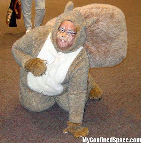 awesome squirrel costume Beaver Costume, An Animal