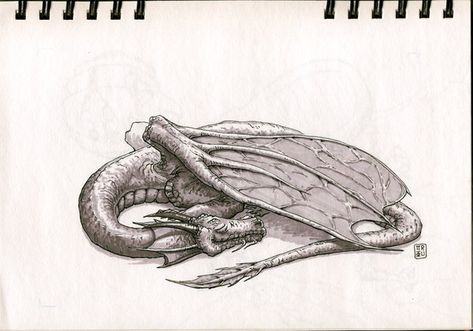 Dragon Sleeping Tattoo, Dragon Laying Down Reference, Dragon Laying Down, Sleeping Dragon Tattoo, Curled Up Dragon, Dragon Portrait, Dragon Sleeping, Black Dragon Tattoo, Sleeping Dragon