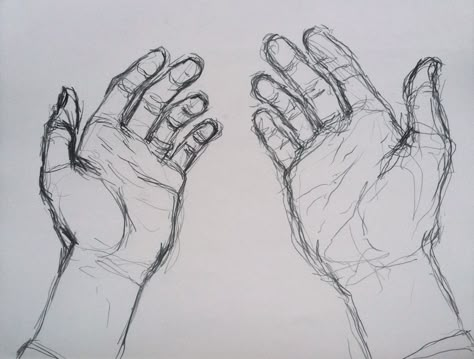 Hands sketch Items Reference, Hands Sketch, Hand Study, Animal Skull, Hand Drawing Reference, Meaningful Drawings, Art Tools Drawing, Drawing Expressions, Skull Drawing