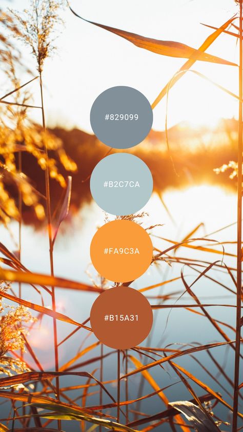 Bright Rustic Color Palette, Colour Palette Inspiration Blue, Gold Blue Color Palette, Cornflower Blue Color Palette, Blue Autumn Color Palette, Warm Blue Color Palette, Yellow Blue Color Palette, Lake Color Palette, Orange And Blue Color Palette