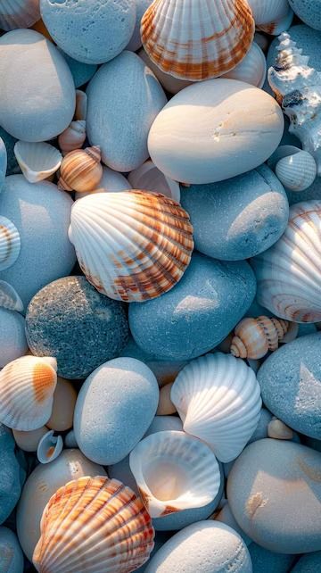 Premium Photo | Seashells on Rocks Generative AI Sea Shell Photography, Shells Photography, Seashell Photo, Shell Photo, Supermarket Design Interior, Texture Board, Sea Stones, Beach Shells, Wallpapers For Mobile Phones