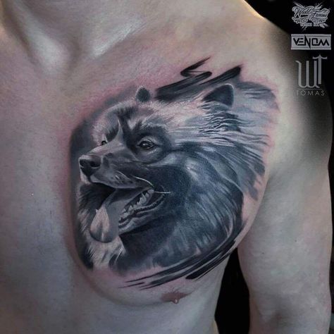 Imagine Keeshond ,,my Dog and first tattoo Keeshond Tattoo, Tattoo Love, More Tattoo, First Tattoo, My Dog, Tattoo Ideas, Fashion Beauty, Tattoos, Beauty