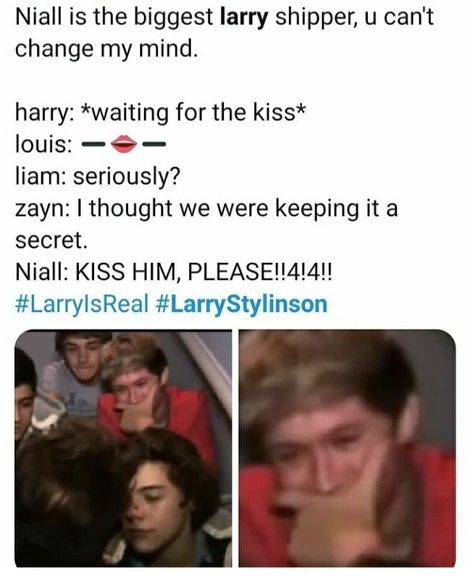 One Direction Drawings, 1d Songs, One Direction Jokes, Larry Shippers, Harry 1d, Louis (one Direction), Normal Guys, It's A Secret, One Direction Humor