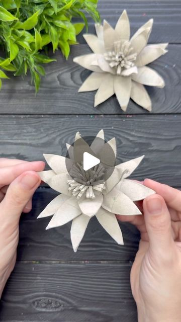 Origami Studio DIY 💥 Paper Craft Tutorials 🇺🇦🇨🇦 on Instagram: "Egg Tray DIY Tutorial Easy Idea from Egg Carton Box #craft #tutorial #foryou #easycraft" Egg Tray Diy, Just Be Friends, Box Craft, Egg Tray, Studio Diy, Paper Craft Tutorials, Tray Diy, Egg Carton, Craft Tutorial