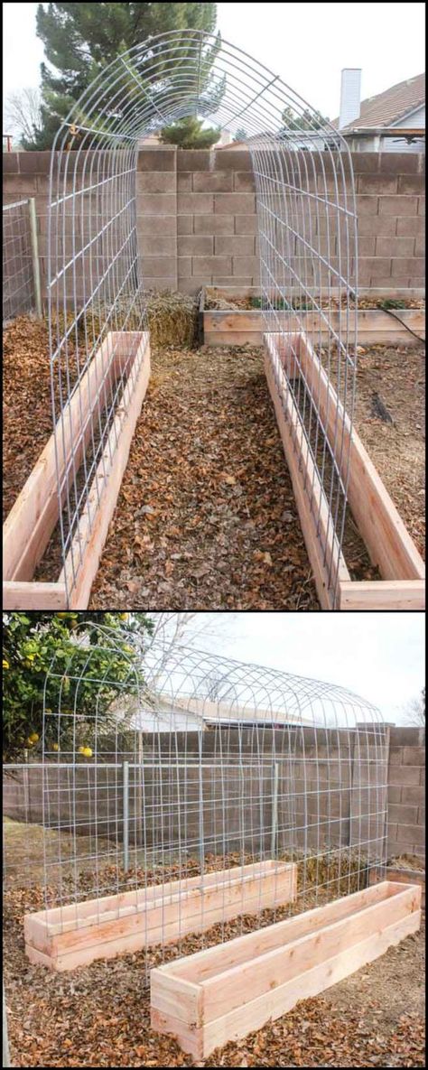 Reban Ayam, Cucumber Trellis, Garden Vines, Gardening Flowers, Veg Garden, Vegetable Garden Design, Garden Boxes, Garden Bed, Garden Trellis