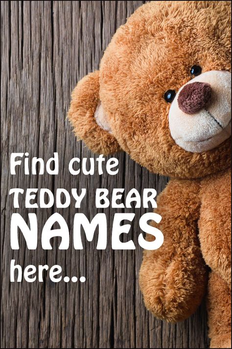 Are you having a hard time helping your child come up with the perfect name for his cherished teddy bear? Consider our list of popular names to help narrow down the selections. #children #stuffedanimal #plush #plushies #plushielife #animals Names For Teddy Bears, Names For Girlfriend, Cute Morning Quotes, I Name, Bunny Names, Bear Names, Bear Images, Aesthetic Names