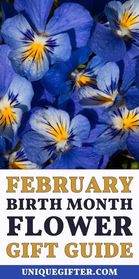 Best Birth Month Flower Gift Ideas for February | February Flower Gifts | Birth Month Gifts | Flower Gift Ideas #FebruaryFlowerGiftIdeas #FebruaryBirthdays #BestFlowerGifts #FebruaryFlowers February Flower, Superhero Gifts, Flower Gift Ideas, February Birthday, Gift Suggestions, Birth Month Flower, Month Gifts, Flower Gifts, Birth Month Flowers