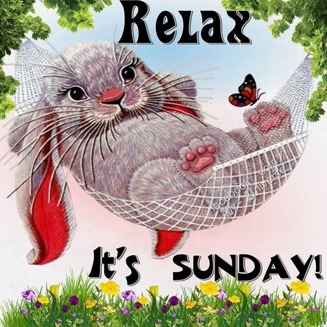 Relaxing Sunday sunday its sunday beautiful sunday quotes sunday images Quotes Sunday, Its Sunday, Happy Sunday Images, Relax Quotes, Happy Sunday Morning, Sunday Pictures, Sunday Greetings, Relaxing Sunday, Sunday Photos