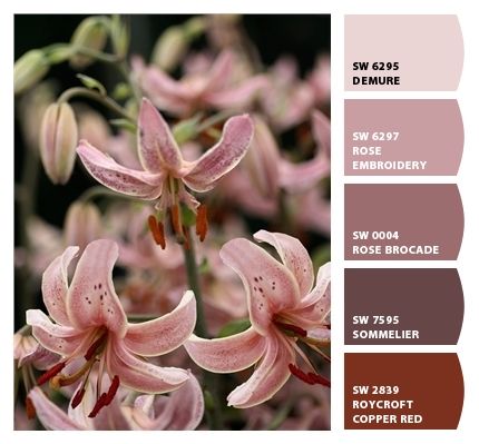 Paint colors from ColorSnap by Sherwin-Williams Sherwin Williams Rose Brocade, Rose Brocade Sherwin Williams, Rose Aesthetic, Rosé Aesthetic, Beautiful Houses, Copper Red, Old Rose, Rose Embroidery, Antique Pink