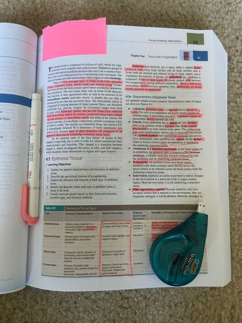 It’s an anatomy text book, with pink highlighter put on it Textbook Notes Aesthetic, Annotated Textbook, Textbook Annotation, Annotating Textbooks, Textbook Aesthetic, Anatomy Textbook, Textbook Notes, Organization Goals, Notes Tips