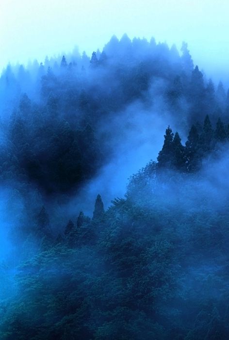 Nature - Natur Rhapsody In Blue, Blue Forest, Feeling Blue, Love Blue, Blue Mountain, True Blue, Blue Aesthetic, Blue Hues, Land Scape