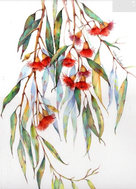 Australian Native Flowers Watercolour, Watercolour Angel, Eucalyptus Watercolor, Gum Leaves, Watercolour Ideas, Gum Tree, Australian Flowers, Tree Flowers, Australian Native Flowers