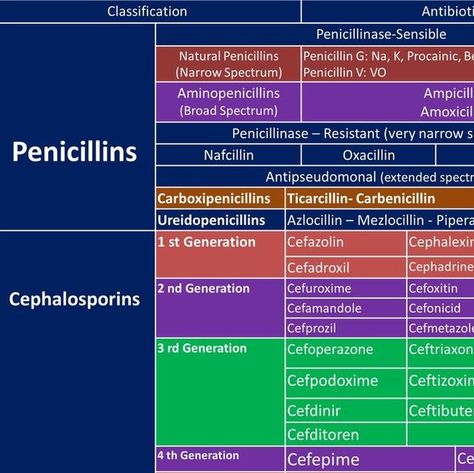 The Addictive Brain | Science Communication on Instagram: "Antibiotic classification
.
.
Source: DrPharmDMDTh
.
.
#electrolytes #pottasium #magnesium #sodium #heartrate #immunesystem #musclerelaxation #bloodglucose #bones #fluidbalance #heartfunction #musclefunction #scicomm #sciencecomm #theaddictivebrain #penicillins #cephalosporins #oxacillin #dicolaxcillin #AntibioticResistance #antibioticresistant" Heart Function, Brain Science, Muscle Relaxer, Heart Rate, Immune System, Brain, Communication, Science, Instagram