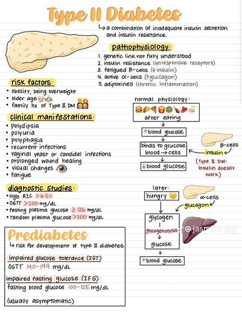 Nursing School Studying Cheat Sheets, Medical Assistant Student, Paramedic School, Studera Motivation, Nursing School Essential, Nursing Study Guide, Medicine Notes, Nursing School Motivation, Nurse Study Notes