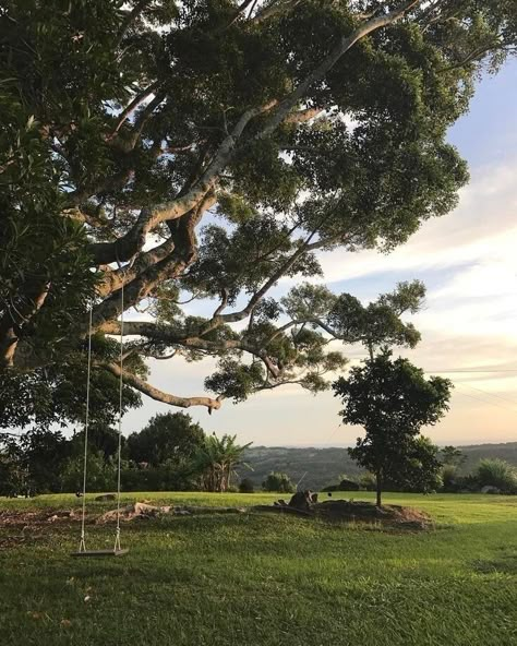 𝒑 on Twitter: "calm & patient… " Northern Italy, Swing Set, Nature Aesthetic, Pretty Places, Country Life, Farm Life, Country Living, Happy Place, Cottage Core