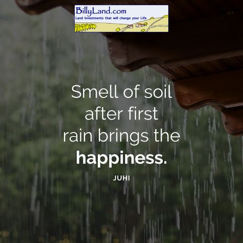 Do you like the smell of the earth after it rains? Comment below! 🏞️ After Rain, Vacant Land, Land For Sale, Of The Earth, The Earth, Soil, For Everyone, Bring It On, For Sale