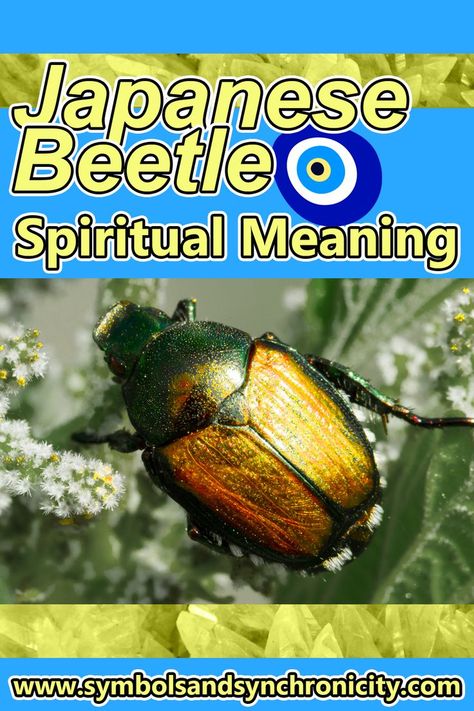 Japanese Beetle Spiritual Meaning Beetle Spiritual Meaning, Japanese Beetle, Animal Meanings, Totem Animals, Dream Meaning, Japanese Beetles, Animal Spirit Guides, Dream Symbols, Animal Spirit