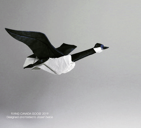 Flying Canadian Goose, designed and folded by József Zsebe (source: ) #origami #goose Origami Goose, Origami Folds, Origami Birds, Wild Goose, Canadian Goose, Origami Bird, Origami Folding, Paper Birds, 3d Origami