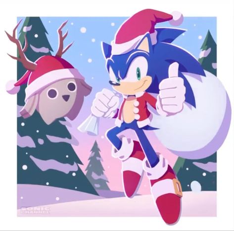 Sonic Christmas, Hedgehog Christmas, Sonic Adventure 2, Hedgehog Movie, Lego Pictures, Sonic 3, Sonic Franchise, Sonic Adventure, Hedgehog Art