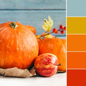 Color Love | Pumpkin Orange Purple Orange Color Scheme, Purple And Orange Colour Palette, Orange Lilac Color Palette, Lavender Orange Color Palette, Purple Yellow Orange Colour Palettes, Thanksgiving Place Cards Printable, Orange Colour Palette, Deep Winter Colors, Thanksgiving Place Cards