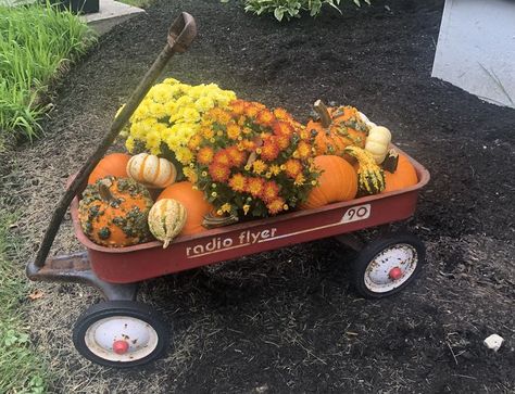 Fall Wagon Decor, Radio Flyer Wagon, Radio Flyer Wagons, Fall Floral Decor, Toy Wagon, Radio Flyer, Red Wagon, Autumn Decorating, Painted Shells