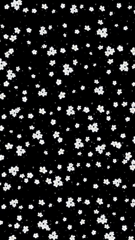 Random Symbol Wallpaper, Wallpaper Flower, Flowery Wallpaper, Black Background Wallpaper, Iphone Black, Phone Wallpaper Design, Cute Animals Images, Black And White Aesthetic, Tiny Flowers