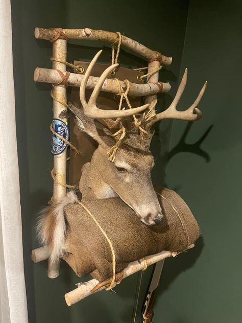 European Deer Mount Ideas, Deer Mount Decor, Deer Mount Ideas, Deer Processing, Deer Hunting Decor, Deer Skull Mount, Deer Antler Crafts, Mounted Archery, Deer Antler Decor