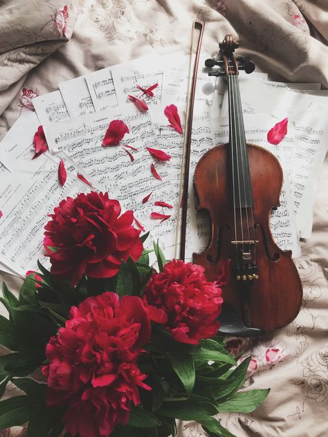 Violin With Flowers, Status Wallpaper, Violin Art, Glitzy Glam, Red And Black Wallpaper, Gothic Themes, Nature Music, Romantic Flowers, Beautiful Flowers Pictures