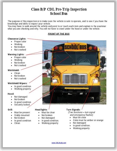 School Bus Driving, Bus Information, School Bus Safety, Bus Engine, Bus Safety, Yellow School Bus, School Bus Conversion, Vehicle Inspection, Bus Life