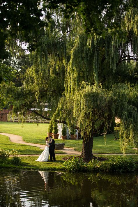 Under Willow Tree, Willow Tree Wedding, Head Photo, Weeping Willow Tree, I Know Places, Weeping Willow, Dream Places, Tree Wedding, Willow Tree