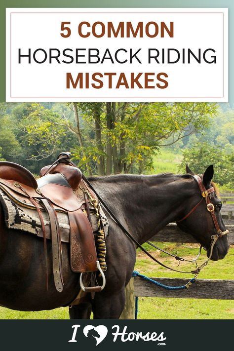 Western Riding Tips, Horseback Camping, Horse Essentials, Horse Training Ground Work, Riding Ideas, Horse Senior Pictures, Trail Riding Horses, Horse Farm Ideas, Horseback Riding Tips