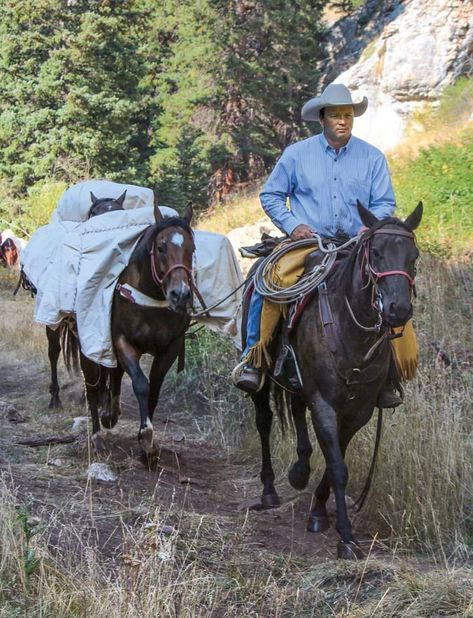 Mules Animal, Trail Riding Horses, Cowboy Photography, Cowboy Pictures, Horse Camp, Bowfishing, Cowgirl And Horse, Horse Equipment, Horse Gear