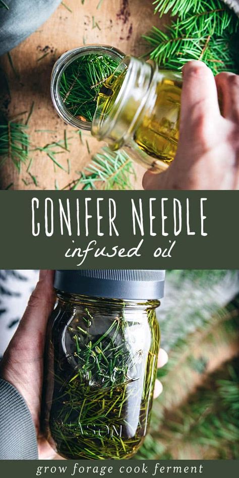 Pine Needle Oil, Herbalism For Beginners, Herbal Remedies Recipes, Pine Oil, Pine Essential Oil, Herbal Skin Care, Herbal Salves, Making Essential Oils, Infused Oil